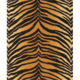 Rich Kolay Transfer (5060) 16x22 cm