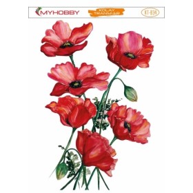 MyHobby Kolay Transfer Büyük 25x35cm B-34