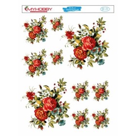 Sulu Transfer 25x35cm Model 71