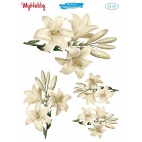 Sulu Transfer 25x35cm Model 257