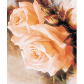 Rich Kolay Transfer 5050 16x22 cm