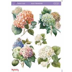 Sulu Transfer 25x35cm Model LNT-120