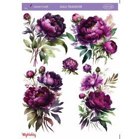 Sulu Transfer 25x35cm Model LNT-126