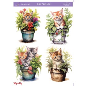 Sulu Transfer 25x35cm Model LNT-303