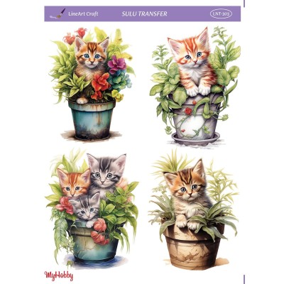 Sulu Transfer 25x35cm Model LNT-303