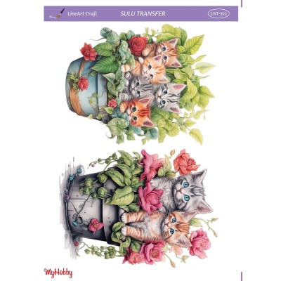 Sulu Transfer 25x35cm Model LNT-302