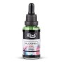 Rich Alcohol ink Mürekkep 30ml YEŞİL