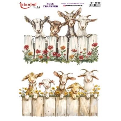 Sulu Transfer 24x34cm Model IST-1568