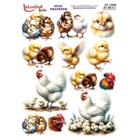 Sulu Transfer 24x34cm Model IST-1629