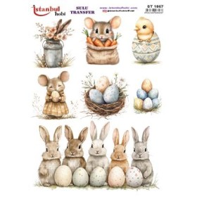 Sulu Transfer 24x34cm Model IST-1857