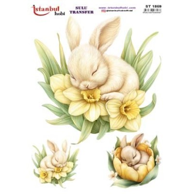 Sulu Transfer 24x34cm Model IST-1859