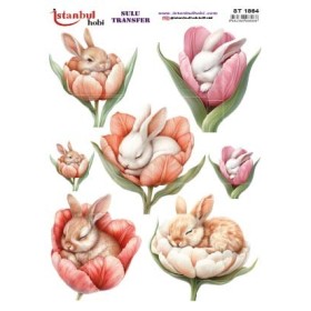 Sulu Transfer 24x34cm Model IST-1864