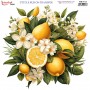 Ütü İle Rub On Transfer (30X30) RB-112