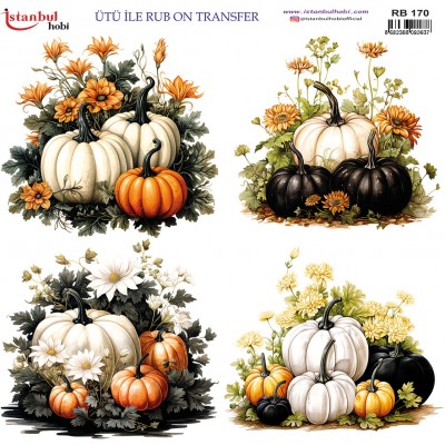 Ütü İle Rub On Transfer (30X30) RB-170