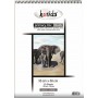 Kosida Primary Mix Block 130/190 gr 20 yaprak 35x50cm