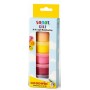 Goodwin Sanat Kili 20gr x 6 Renk Set